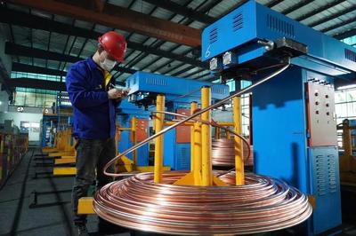 頭雁領航，雁陣齊飛 上海金山“光電傳輸谷”驅動金屬制品產業集群提級增效
